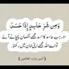 s.mazhar16
