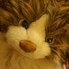 xdarthkittinx