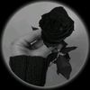 blackrose98760