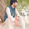syedaqibgillani345