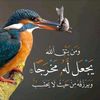 fefesll