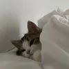 kroshka_ru