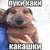 zxcbrilliant