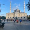 alina_te1