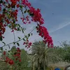 al_6776