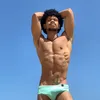 edysabatto