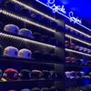 crystalite_Snapback