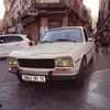 trex.5.trex