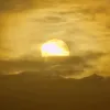 nadaalward69