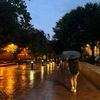 iranmedellin