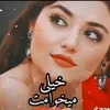 laleh___20