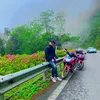 aluanxt