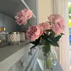 esme_law20