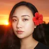 winwindeleon16