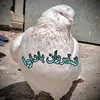 sherwan._.zirak