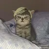 tireddbean