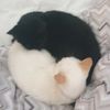 a_.tired_.pixie