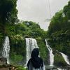 widiapsptdw
