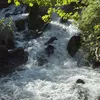 yasser657_55