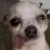 1chanbedu