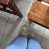 thvly91