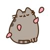 katsswi