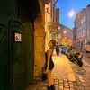 ori_barzilay6