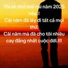 nhanguyenquoc0