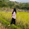 kinanti_fa