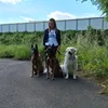 dog_sitter_cami