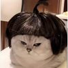 mimeoweiei