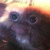 gremlins.1984