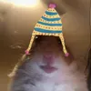 theviralguy