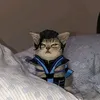 damtusenanhucon