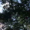 dengannafasmu420