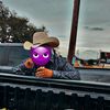 gtzoax