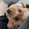 muuuuuuuuuuu.g