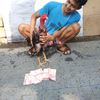 irfan.sa7aa