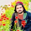 abid_afghan87