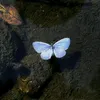 h__an18