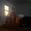 not_sadiequinton