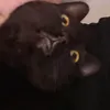 kirakat2727
