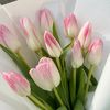 ahmed_awan__2023