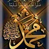 aliahmeed197