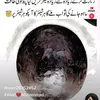 smalik990