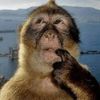 contucky