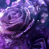 omwael162