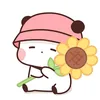 31882068785huongduong