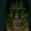 ______arvin_______