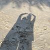irfan_v8
